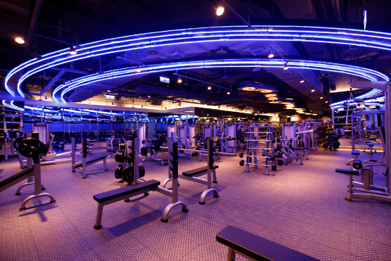 WORLD GYM ELITE